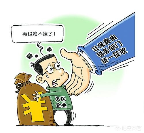 优化纳税环境，常州市地方税务局提供个性化纳税服务，个性化纳税服务亮点