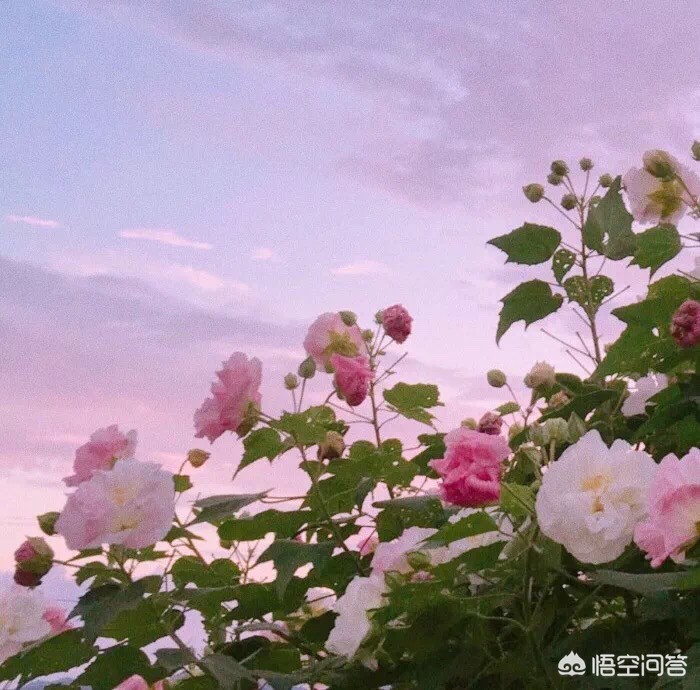 学习知识技能来减轻压力，