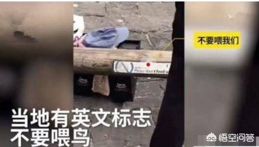 中国大妈的海外生活图片，中国大妈的海外生活图片大全