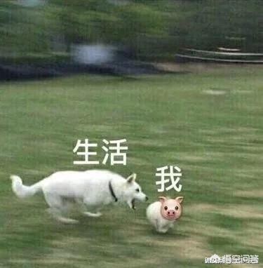 重疾保险有没有必要买，重疾保险有没有必要买网友知乎