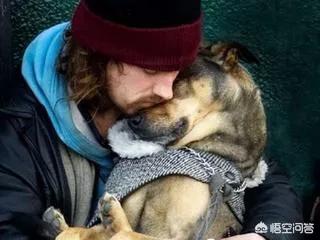 海外生活养什么狗好呢知乎，海外生活养什么狗好呢知乎