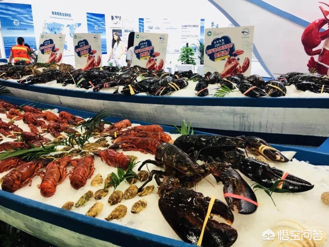 湖南直销进口汽车报价网,湖南直销进口汽车报价网站