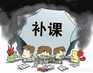 11名“班主任”落网