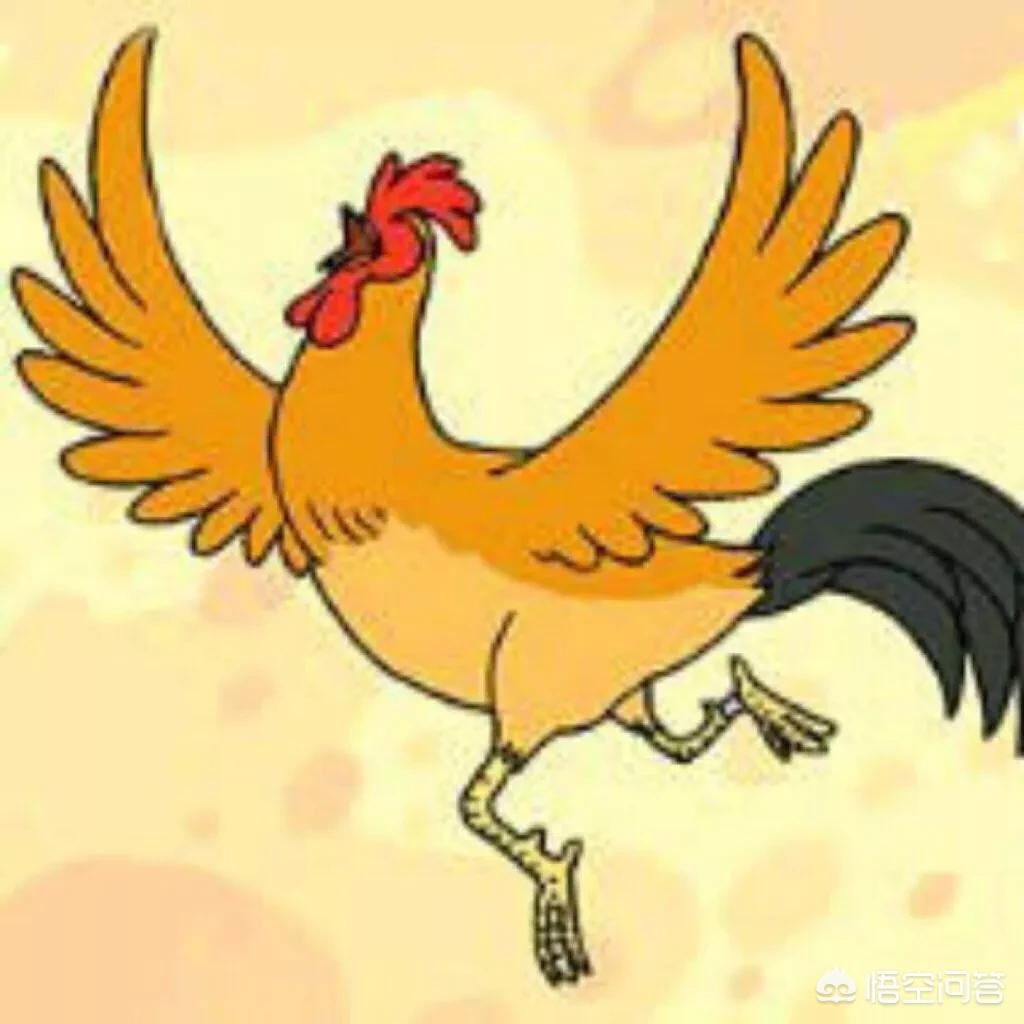 胖鱼美妆好物
