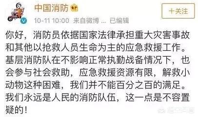 医学生救人被质疑