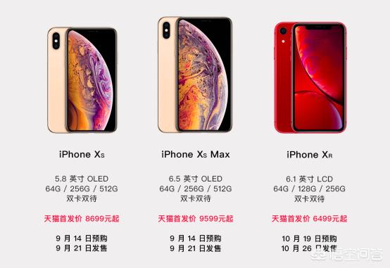 你在我的世界里百科是什么 （你在我的世界里百科是什么样的）
