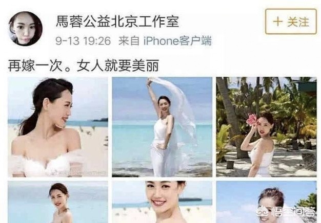 金耳朵金耳朵认证