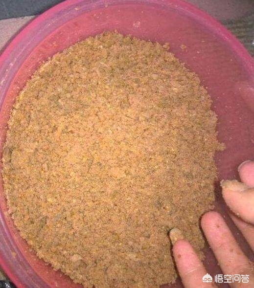 用鸡肝钓鱼效果怎么样？