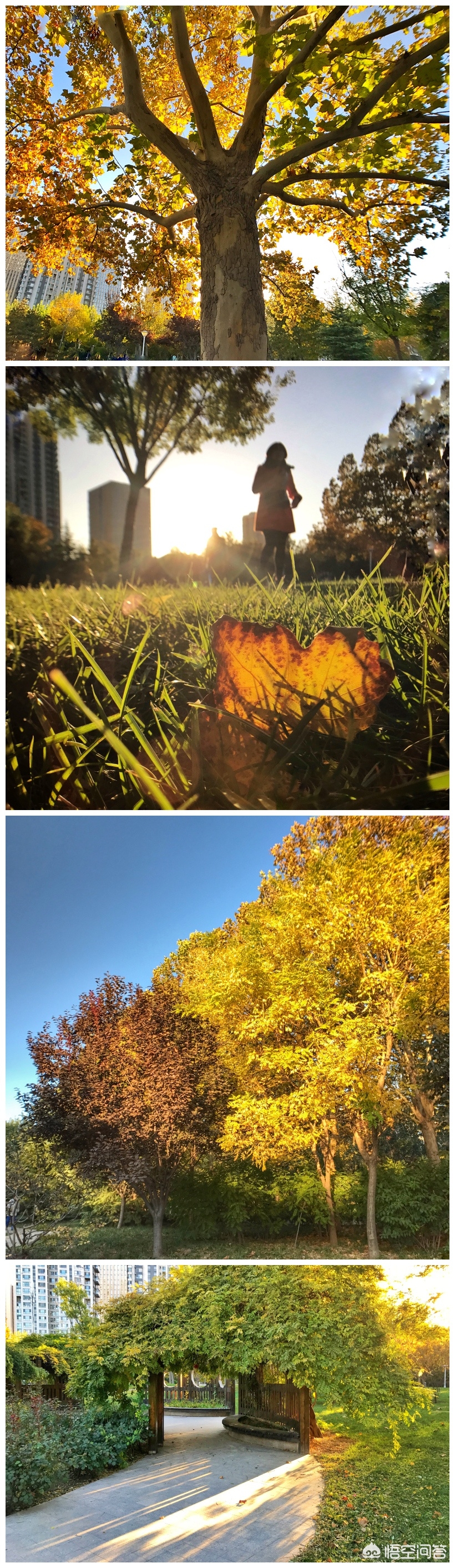 天津哪个风景最美
