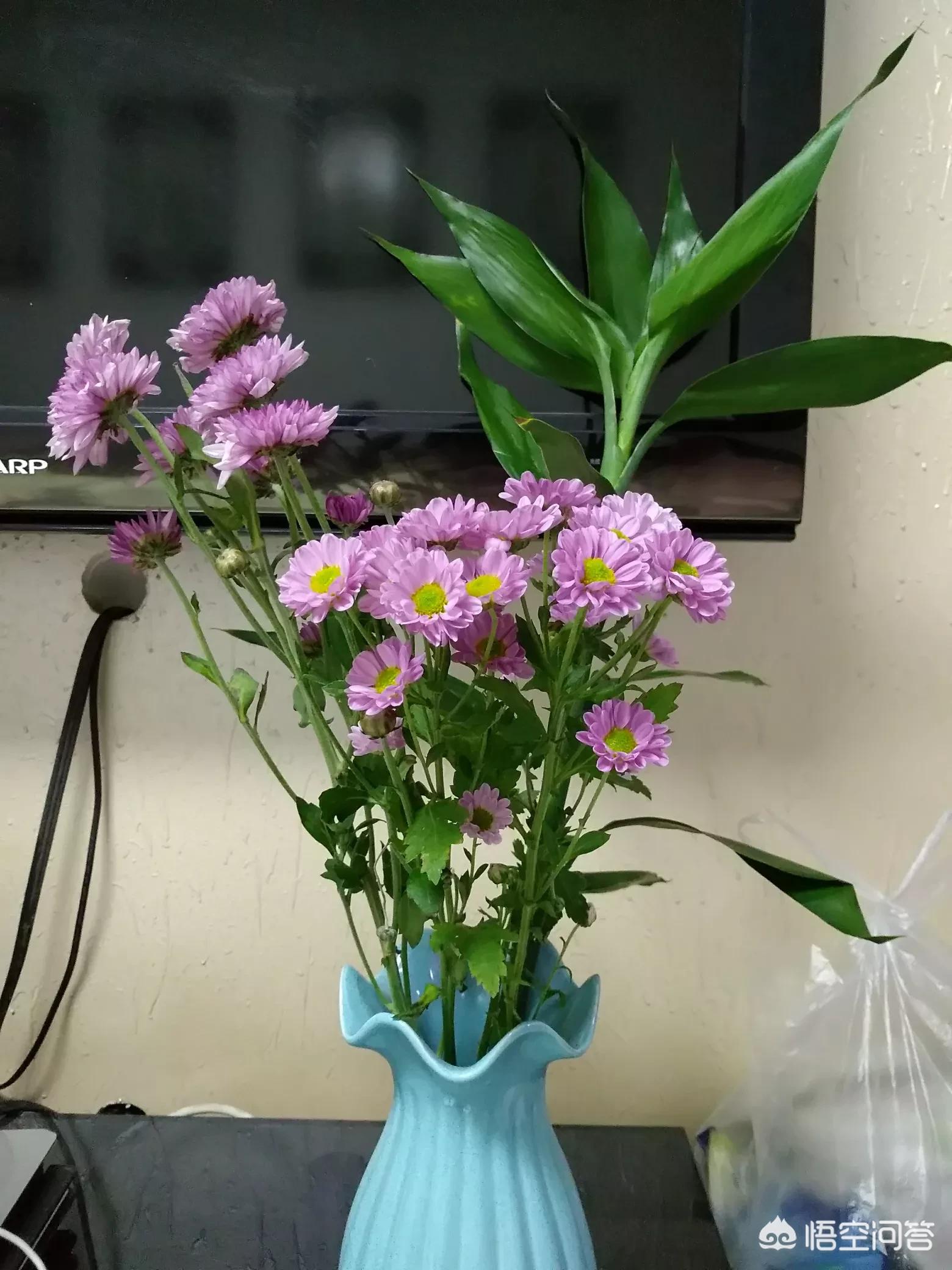 赣州全网网络营销公司,赣南脐橙的销售渠道?