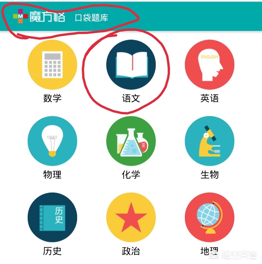 怎么搭建网站小学语文