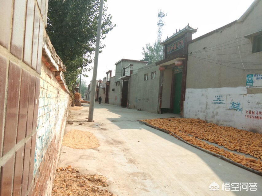 如果一个女孩对你说命苦,应该怎么安慰她呢?:苦命少女 如果一个女孩对你说命苦,应该怎么安慰她呢?:苦命少女