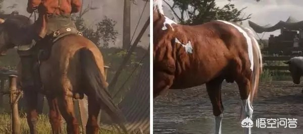 《荒野大镖客2》中有哪些让人细思极恐的细节让你觉得不愧是砸56亿做出来的游戏？