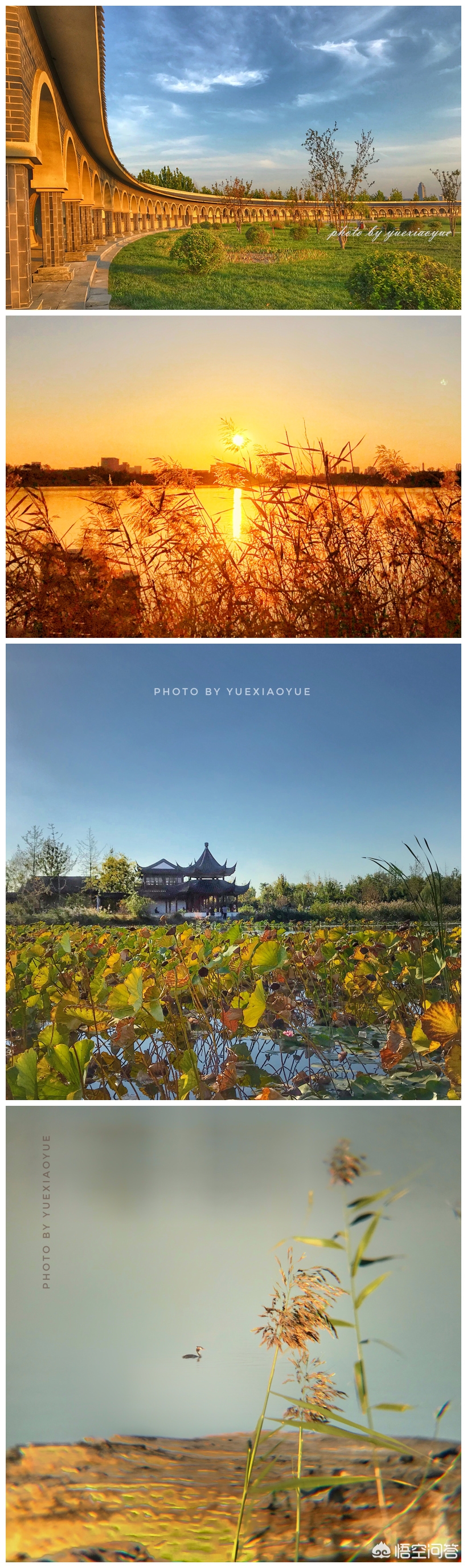 天津哪个风景最美 天津哪个风景最美