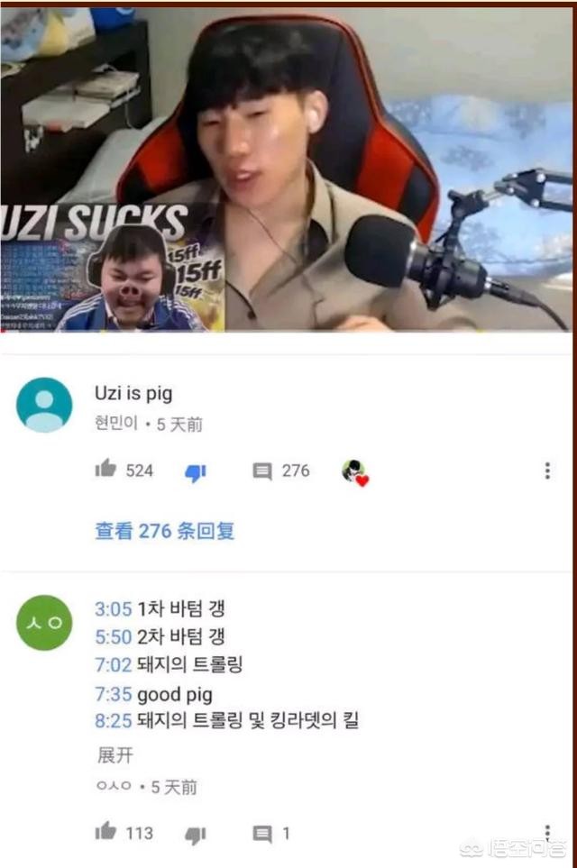 数百韩国人在美被抓（韩国主播将uzi P成猪头，获数百韩国网友点赞，你怎么看？）