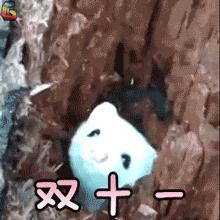 沈阳市玖龙怎么报名