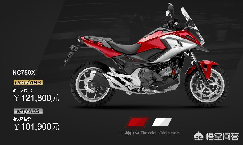 本田 x adv