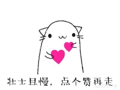 二手日产轩逸