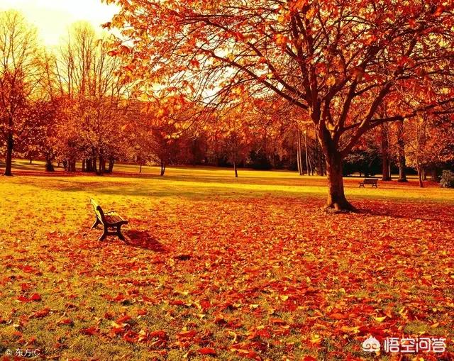 最感人的情话最感人的情话让人流泪 最感人的情话最感人的情话让人流泪