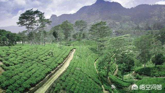 东南亚直播专线用于淘宝直播的运营思路​
