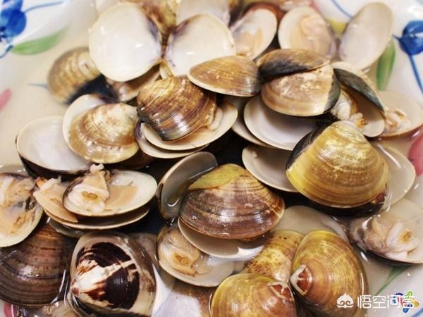 南通市哪里好吃的 南通市哪里好吃的