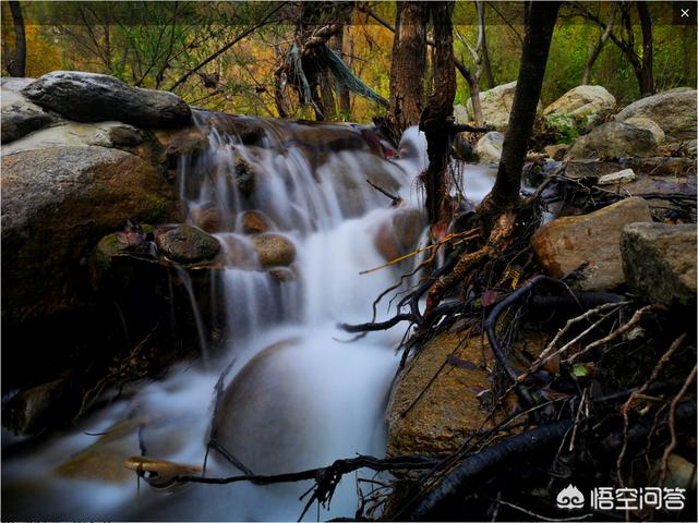 手机支架是怎样一个构造,在手机里起到了什么作用?:手机支架 手机支架是怎样一个构造,在手机里起到了什么作用?:手机支架