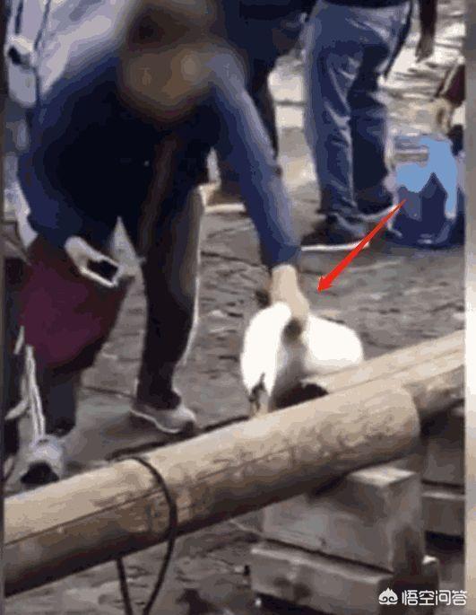 中国大妈的海外生活图片，中国大妈的海外生活图片大全