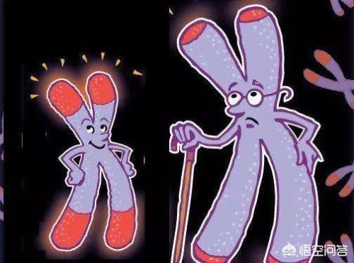 河南永生医疗怎么样 河南永生医疗怎么样