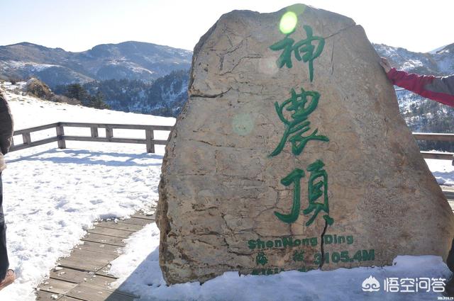 洛阳重庆哪个好玩的地方