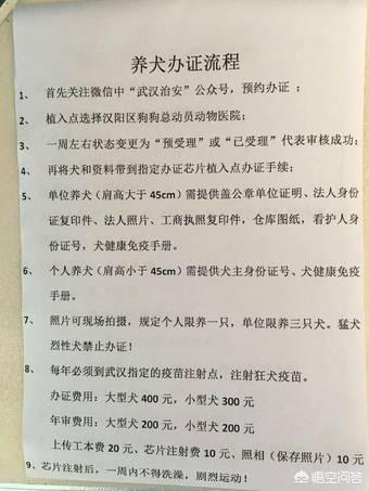 武汉阿拉斯加怎么办狗证？