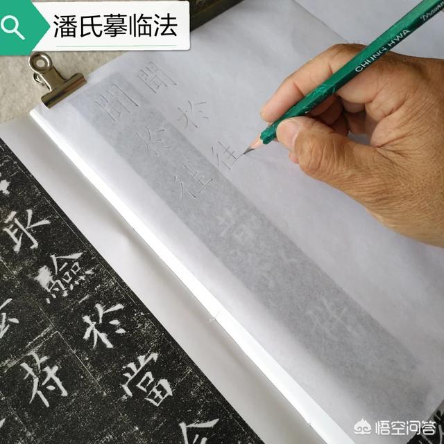 字体草书入门毛笔书法教程