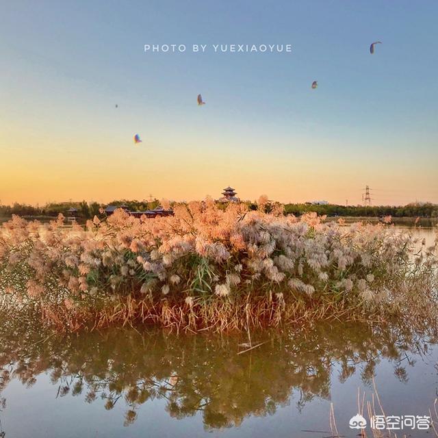 天津哪个风景最美 天津哪个风景最美