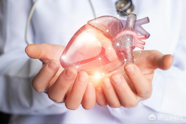 汽修保养支架，汽修保养支架图片