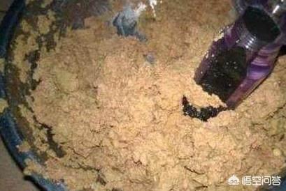 用鸡肝钓鱼效果怎么样？