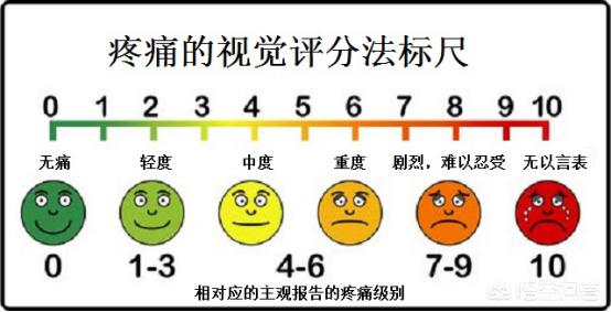 中医人在海外生活好吗，中医人在海外生活好吗知乎