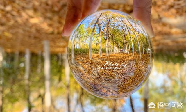 天津哪个风景最美