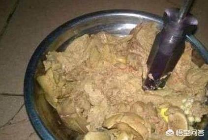 用鸡肝钓鱼效果怎么样？