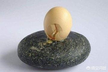 遭飞来石头砸脸毁容（高速上挡风玻璃被石头砸了该找谁？）