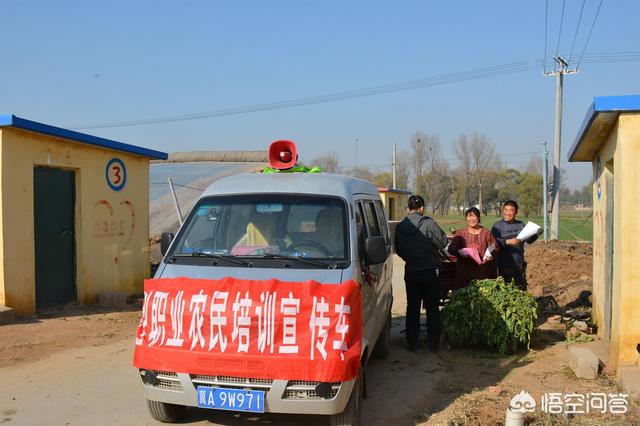 [桔子红了]《桔子红了》这部电视剧，你觉得好看吗？