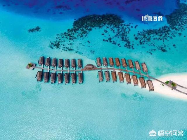 潜水女孩海外生活，潜水女孩海外生活视频