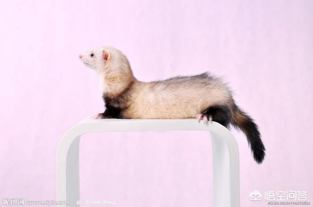 羽绒服推荐羽绒服推荐品牌性价比