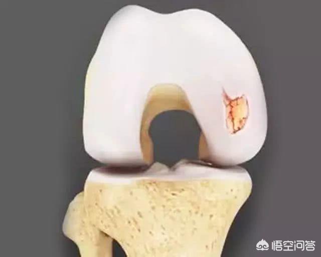 每日推荐是什么意思?:每日推荐 每日推荐是什么意思?:每日推荐