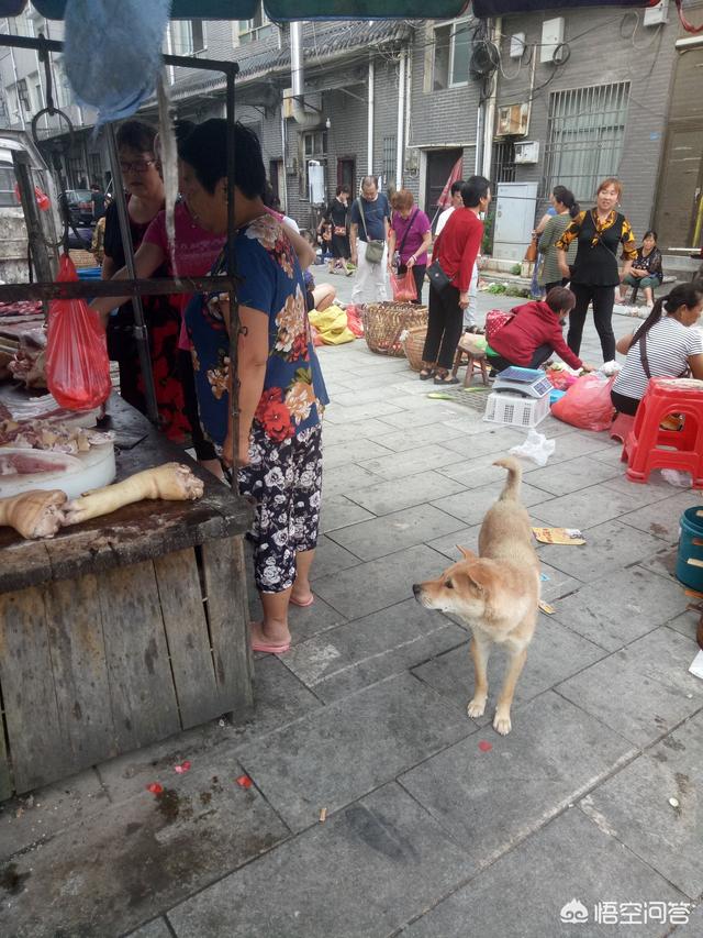 宁乡沩山还有哪些发展，旅游是否继续开发？