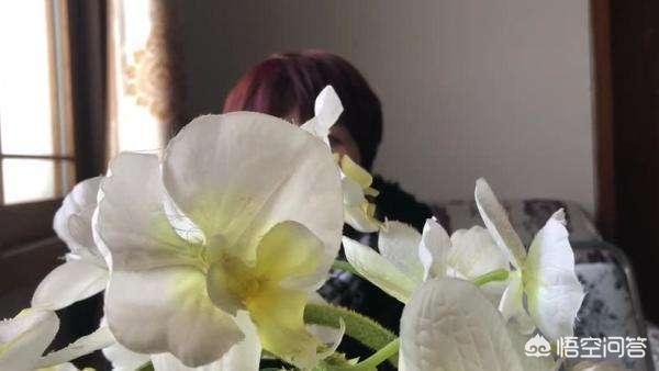 [杀3人凶手精神分裂]七台河一位六旬老人刀砍亲属致3死2伤，现已被抓，其疑似患有精神疾病，当晚因出现幻觉持刀砍人, 你怎么看？