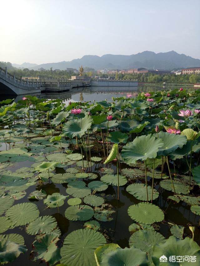 宁乡沩山还有哪些发展，旅游是否继续开发？