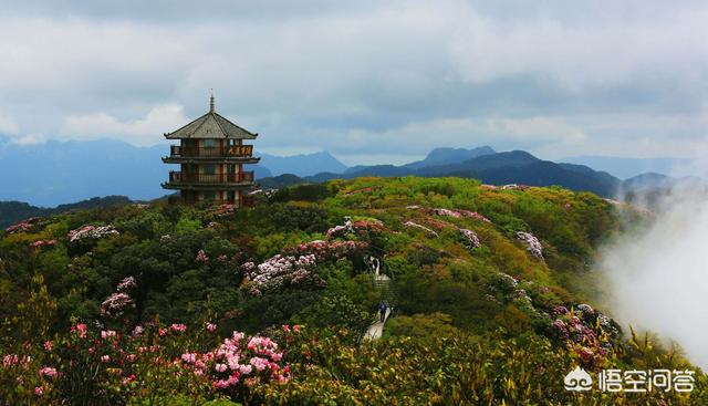 洛阳重庆哪个好玩的地方