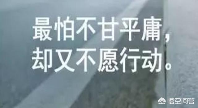 森林大帝剧场版，森林大帝剧场版1997国语版