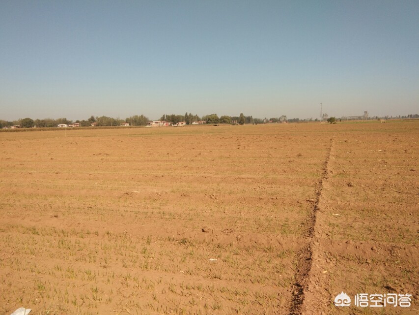 如果一个女孩对你说命苦,应该怎么安慰她呢?:苦命少女 如果一个女孩对你说命苦,应该怎么安慰她呢?:苦命少女