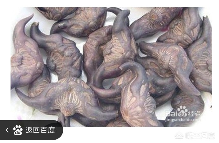 [儿时的味道]什么是童年的味道？