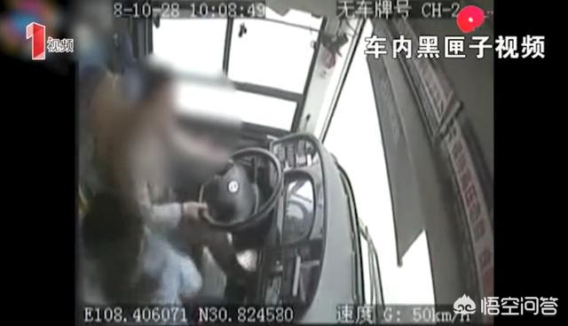 [一月2次袭击中国游客]游客打猴子犯法吗？